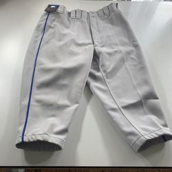 Mizuno Premier Adult X-Large Baseball Pants Short Knickers Pant Gray Royal