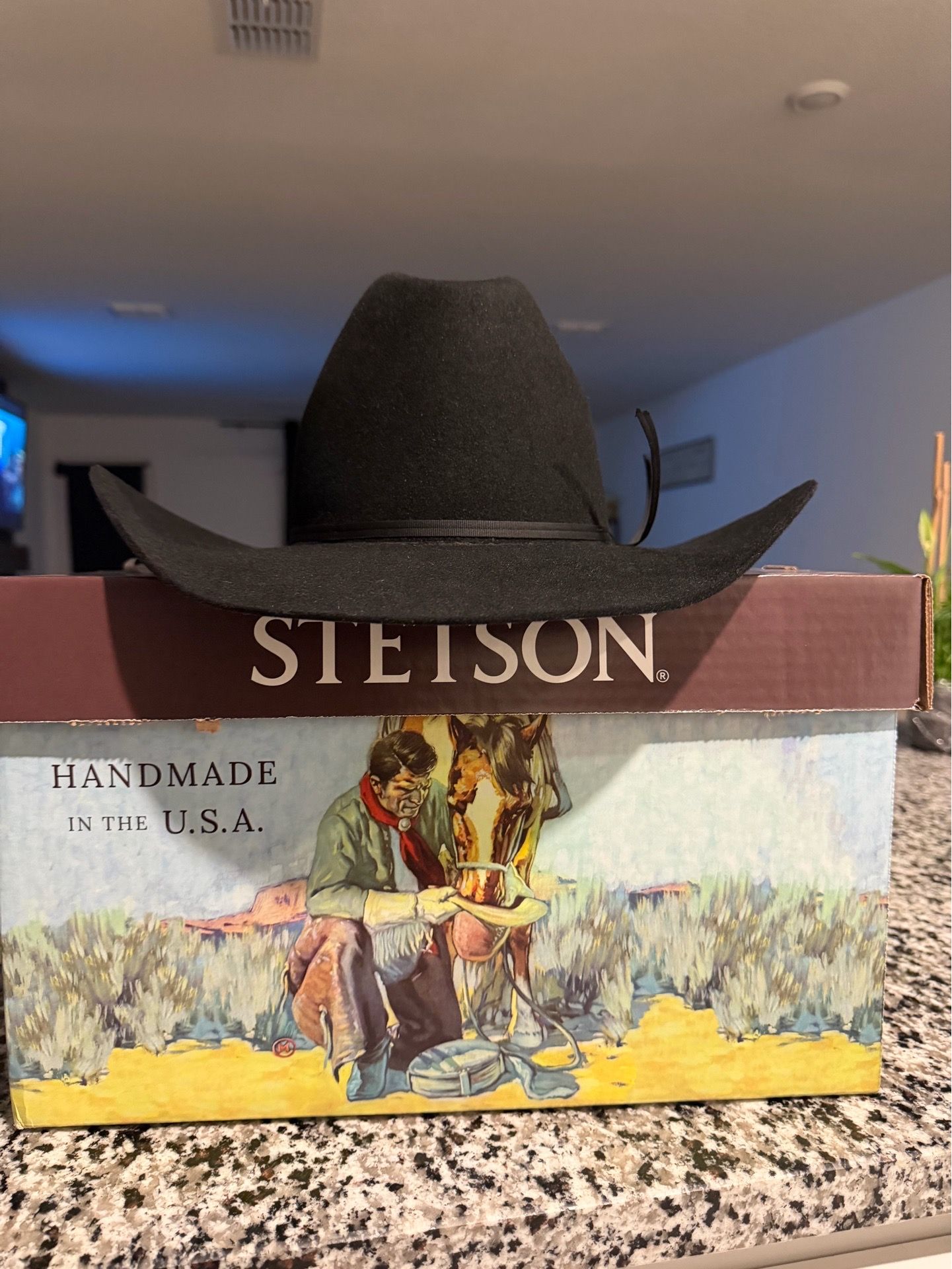 Stetson Hat