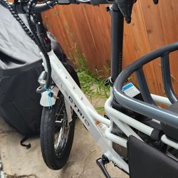 Lectric Bike