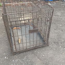 Dog Kennel 