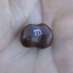Sus M&M 