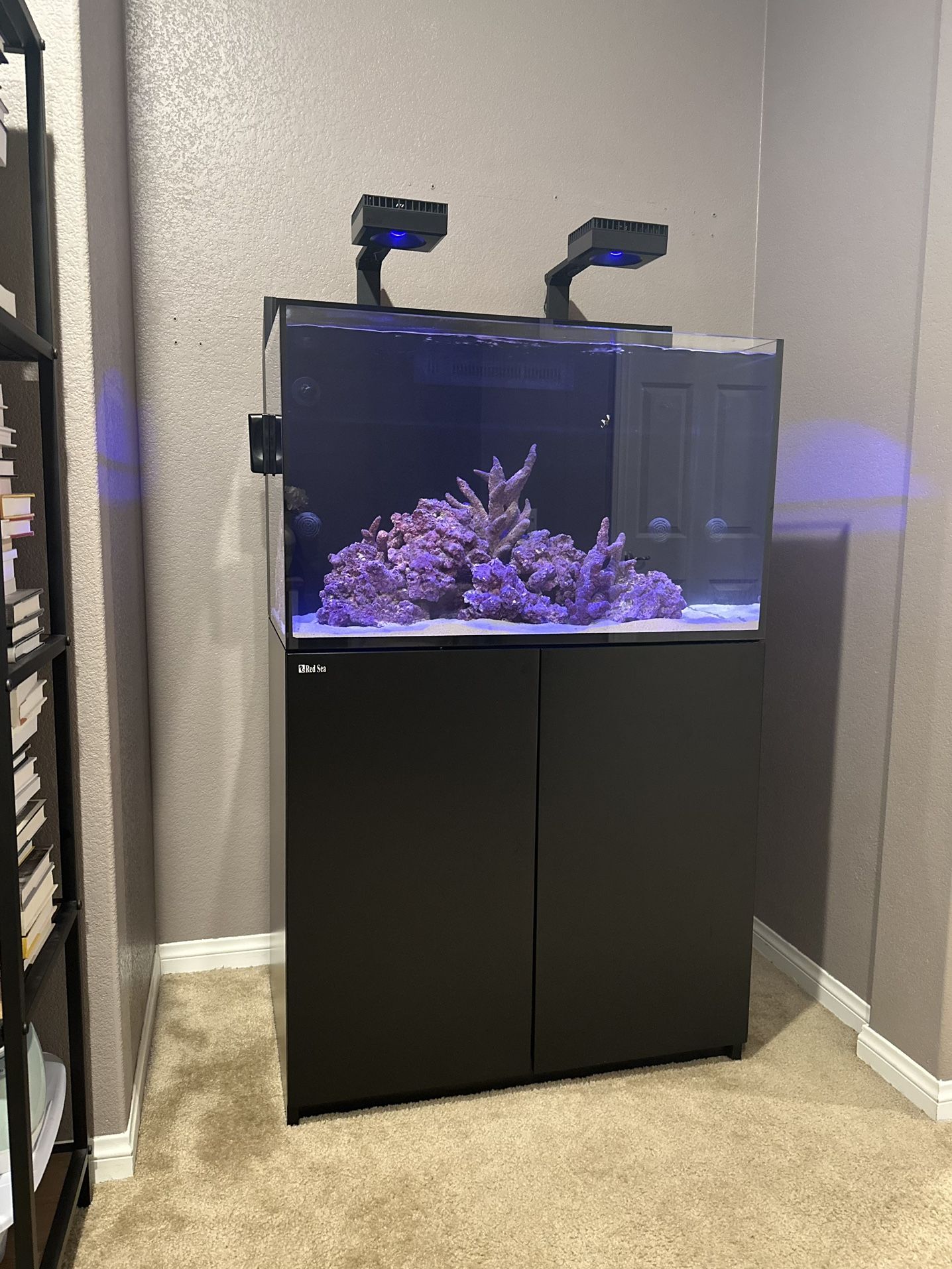 Red Sea Max E-260 LED Complete Reef System (69 Gal)