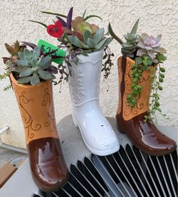 Cute succulents planters