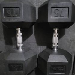 75lbs Dumbells Weights 