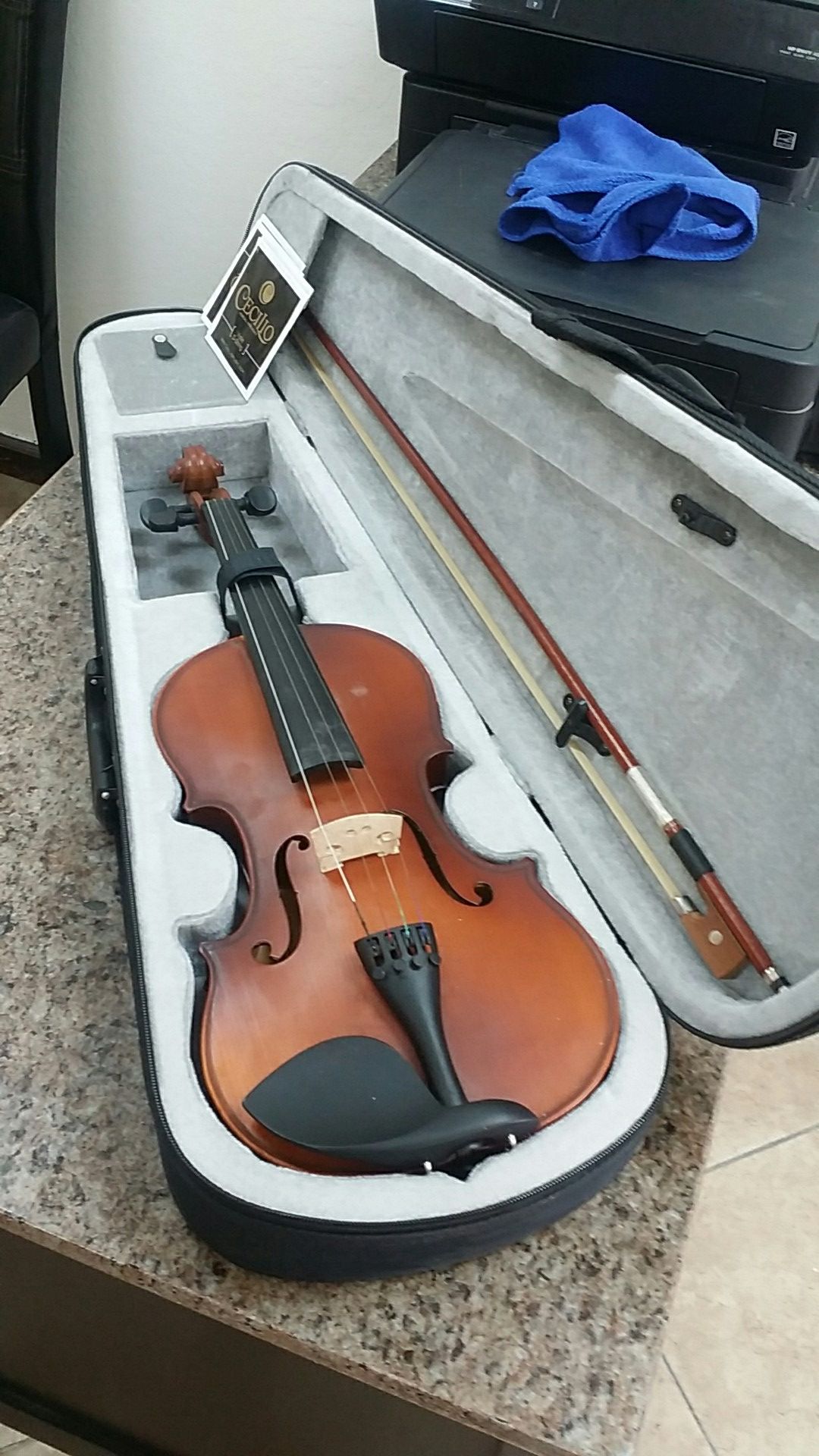 Mendini by cecilio mv 300 violin