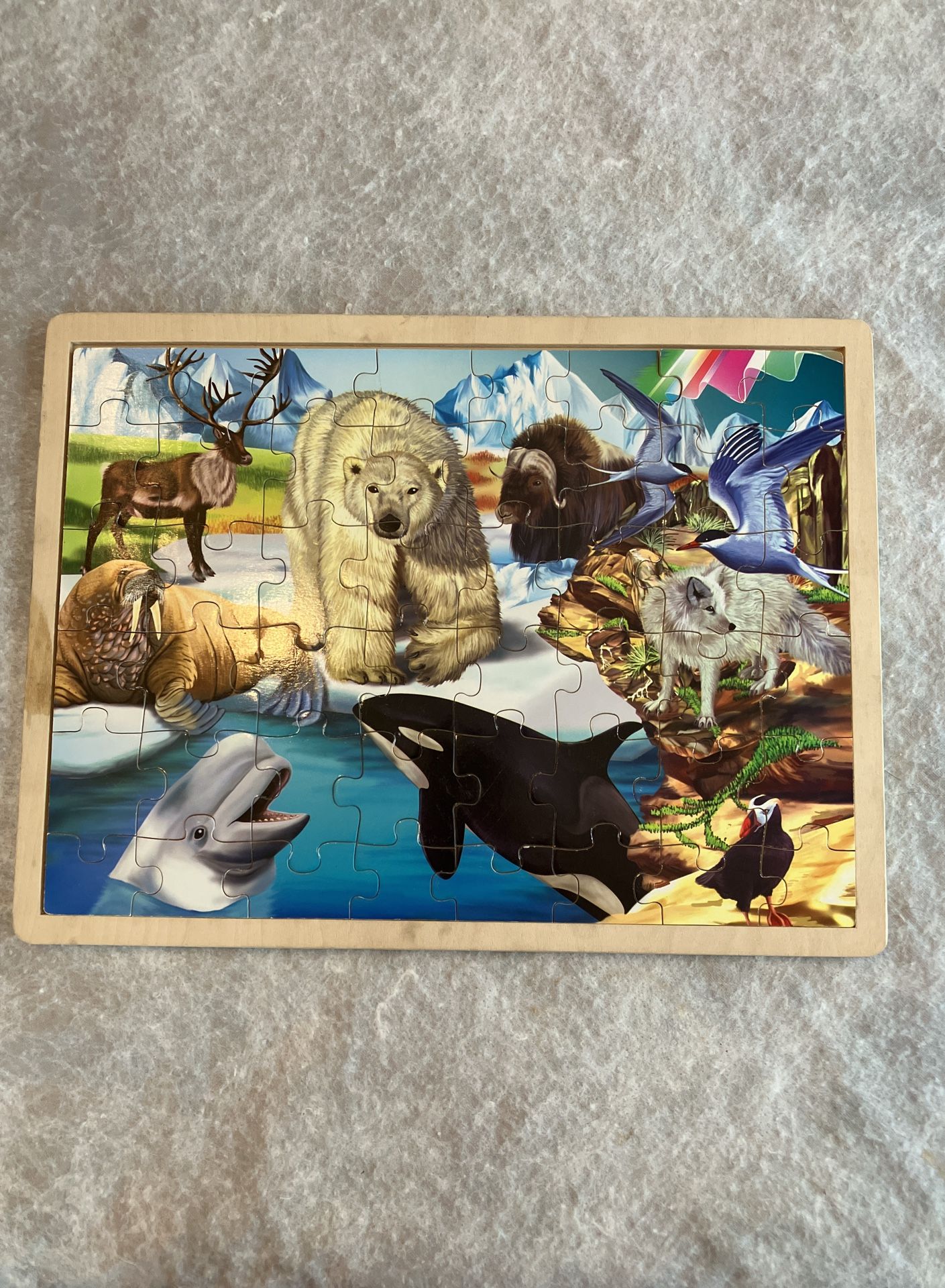 Arctic Animals Wooden Puzzle
