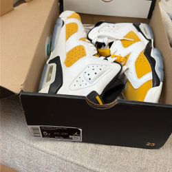 Jordan 6