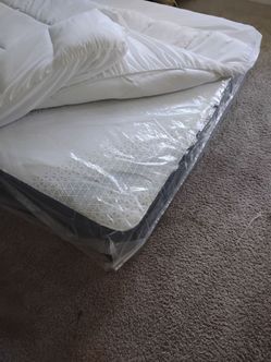Two queen size bed
