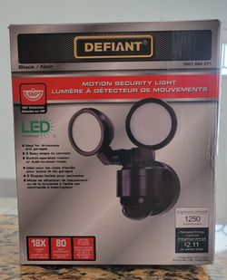 LED motion security light