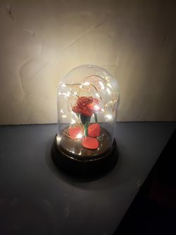 Flower Dome
