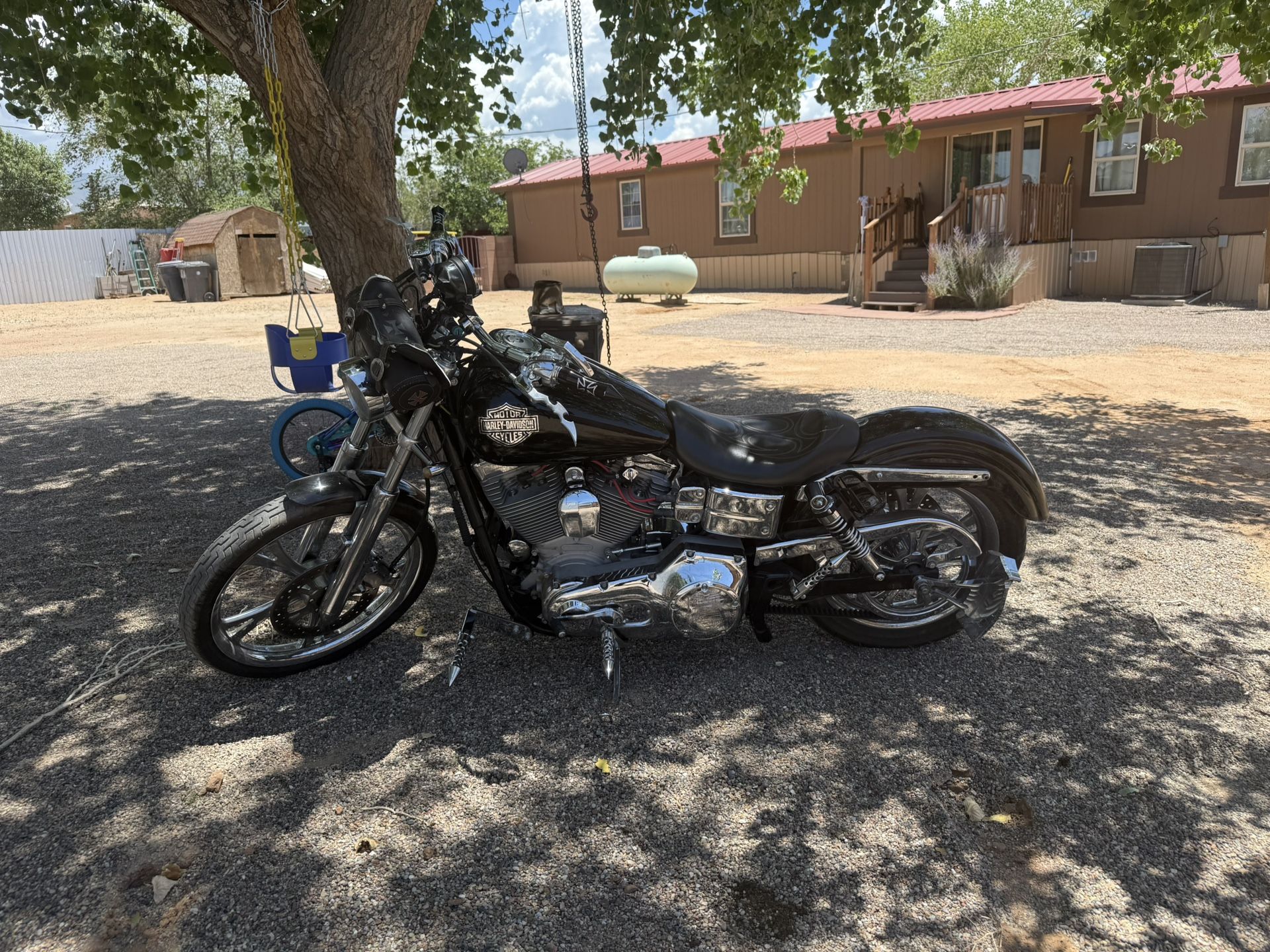 2005 Harley Davidson Sports Guide
