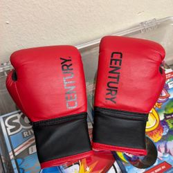 For Kids Boxing Century For 5