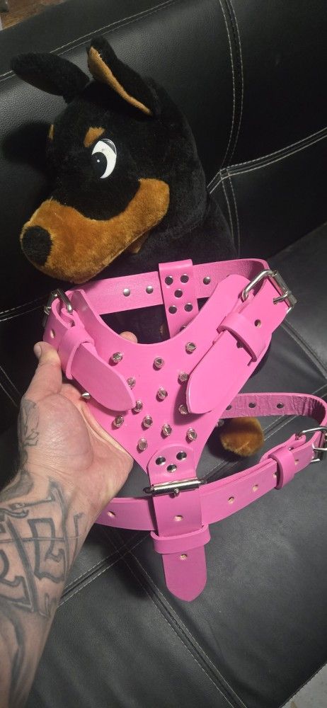 Dog Harness