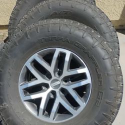 2017 Ford Raptor Tires