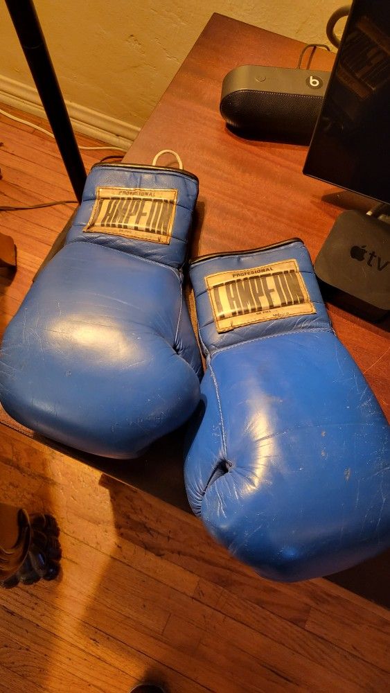 Campeon Boxing Gloves