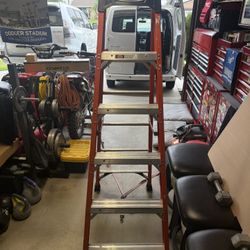 6ft Ladder 
