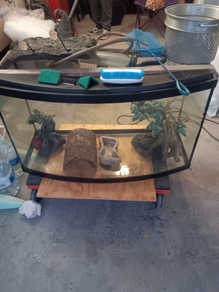 Reptile Terrarium 