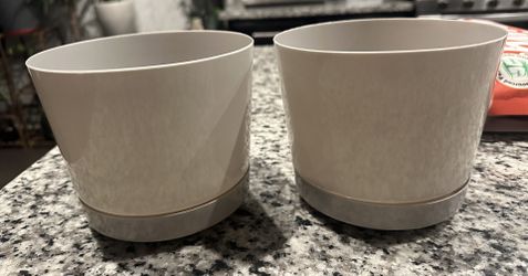 Two plastic Planters