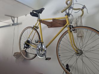 His and hers matching 70s Schwinn