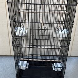 Birds Cage 