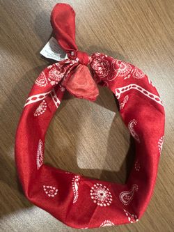 Red Paisley Bandana