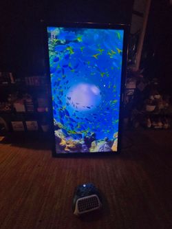 Free TV