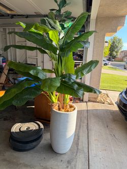 Artificial plant