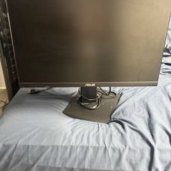 Asus Monitor