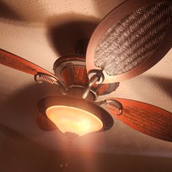 Ceiling Fan