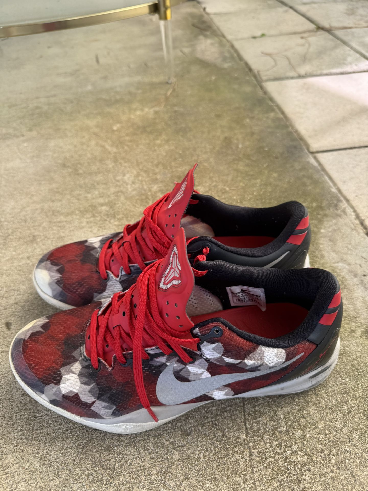 Kobe 8 milk Snake