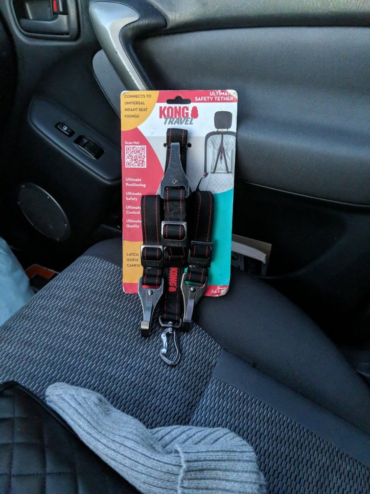 Kong travel For Dogs In The Car 