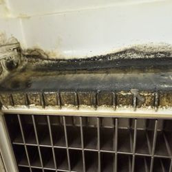 Commercial Ice Maker Cleaning & Sanitizing