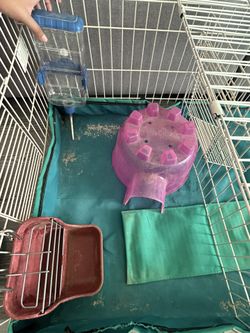 Small Animal Necessities