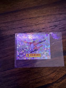 Panini 00