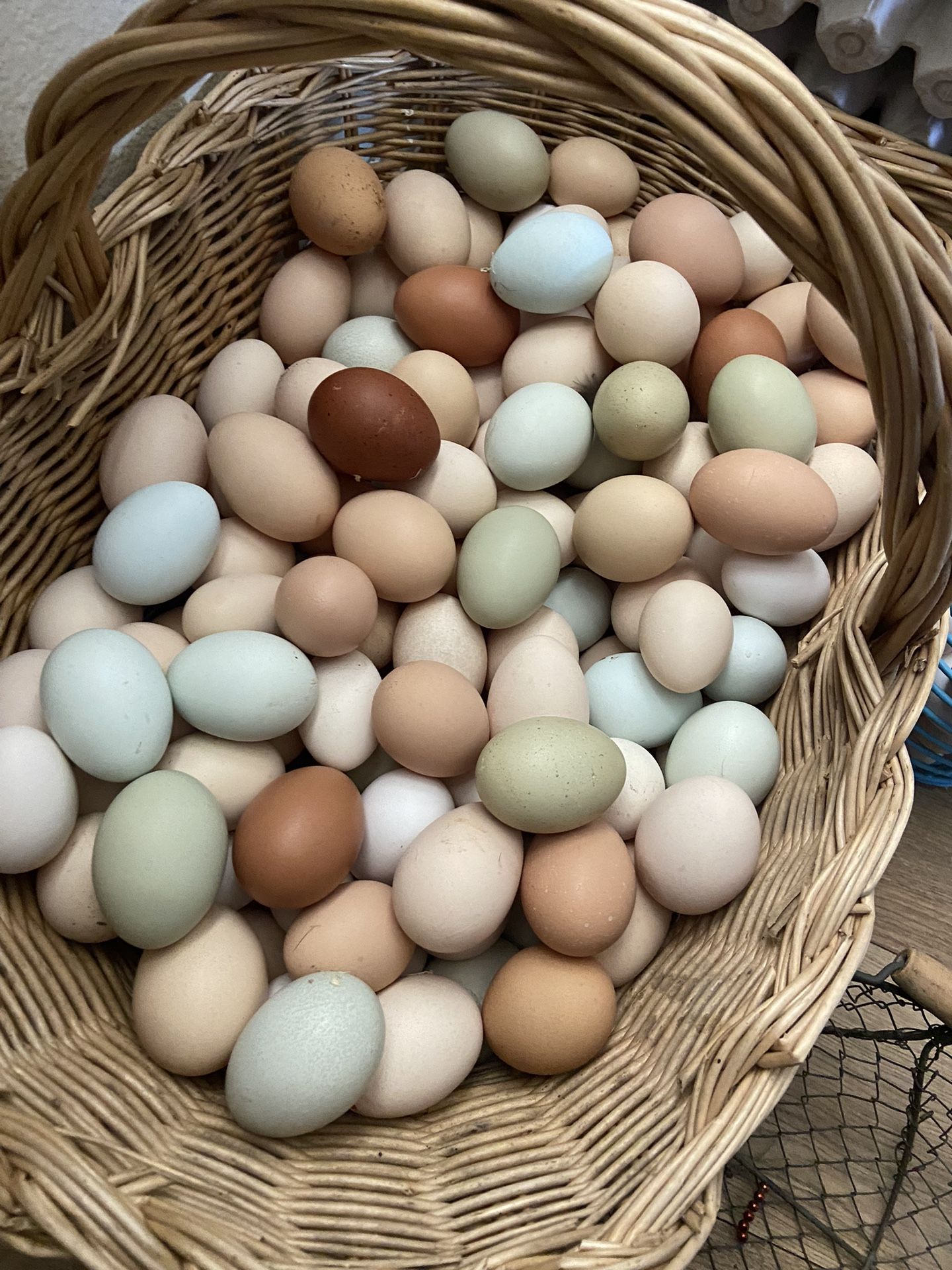 Pasture Raised Eggs 🍳