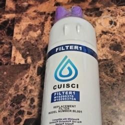 Refrigerator Water Filter Replacement 