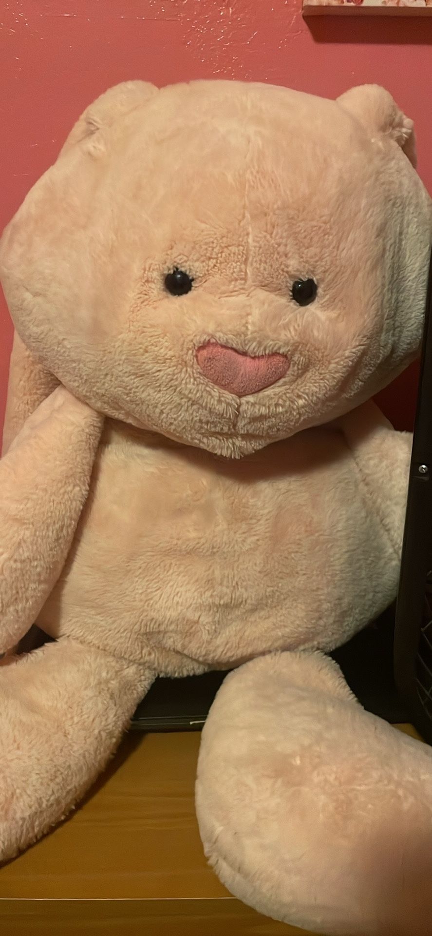Big Pink Bunny