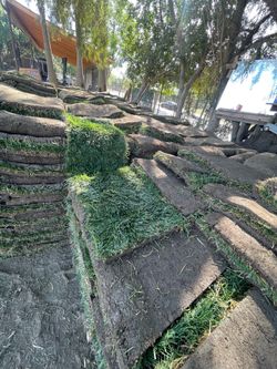 Sod and sprinkles system