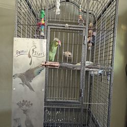 Amazon Parrots Cage 