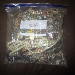 Gallon Zip Lock Bag Of Costume Jewelery 