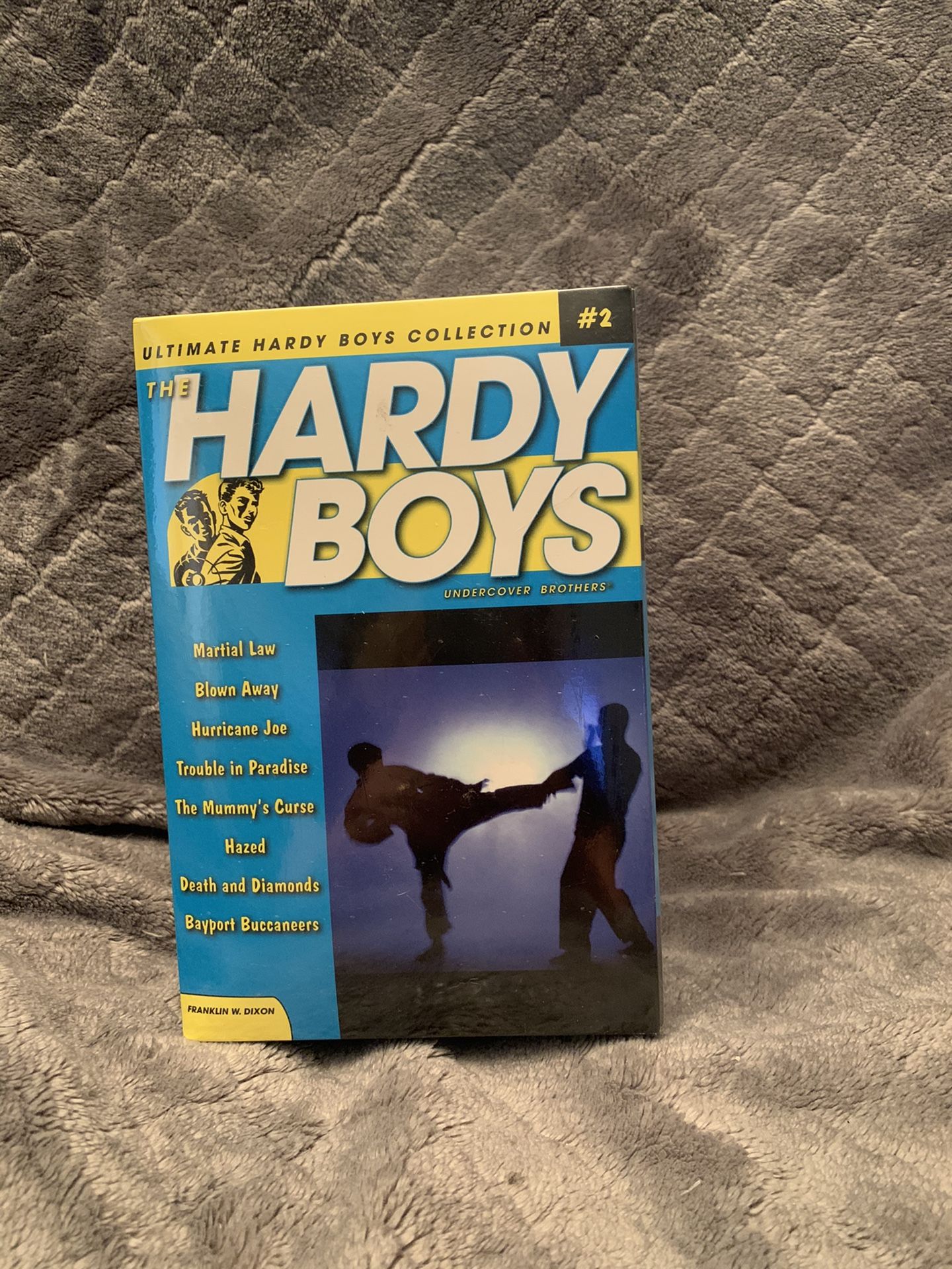 Books! Brand new set of Hardy Boys books 9-16