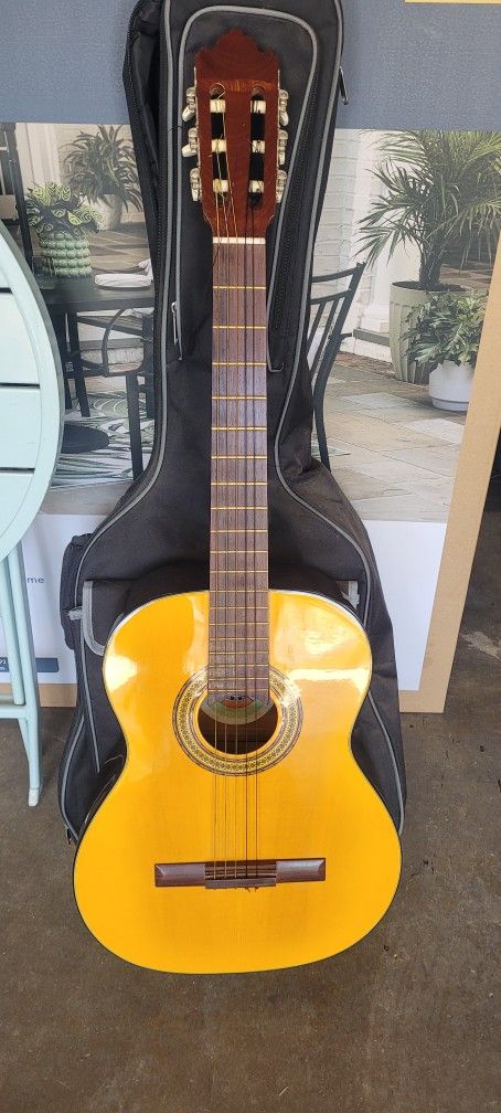 Acoustic Guitar