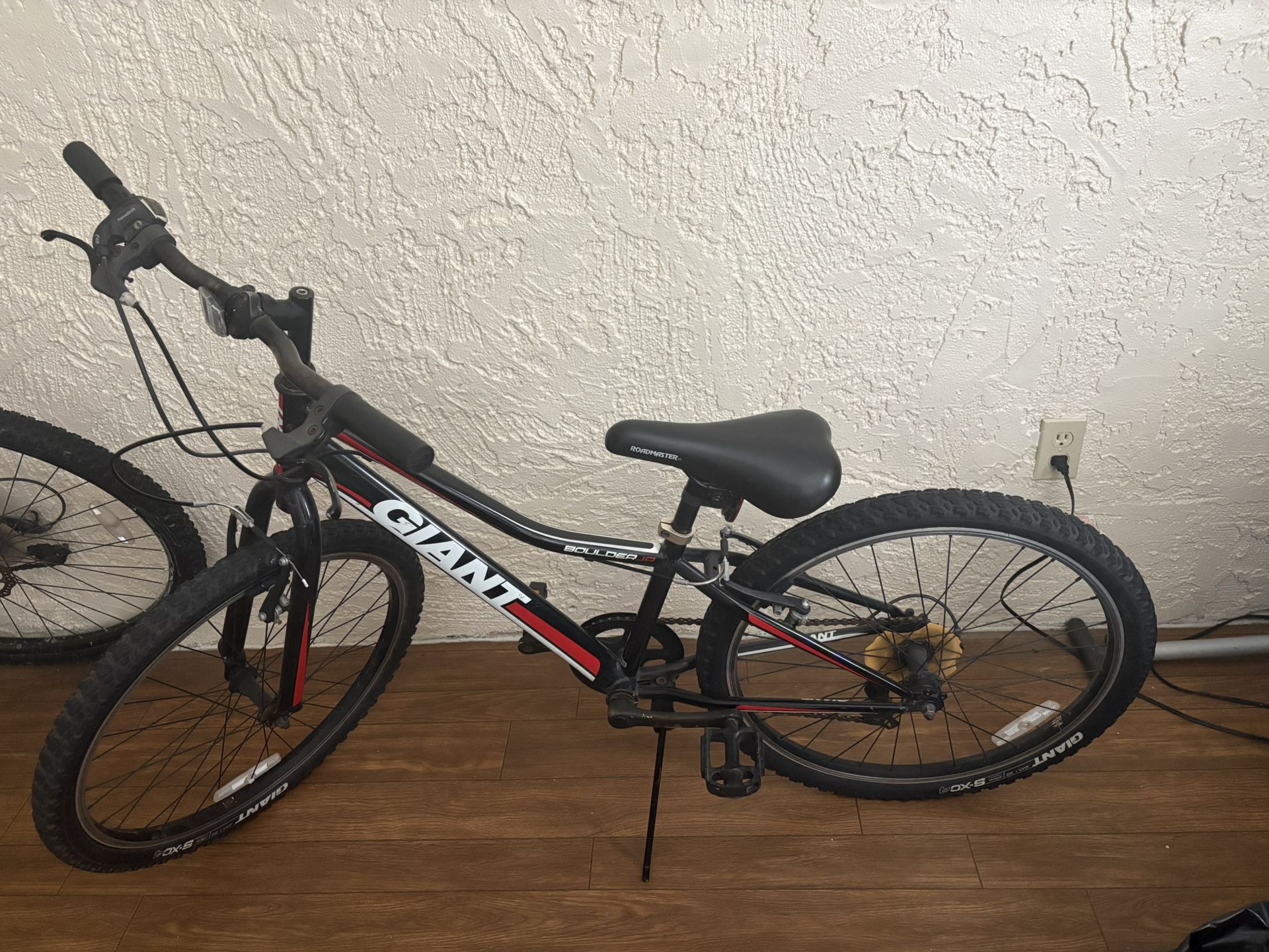 Giant Boulder Jr Bike 