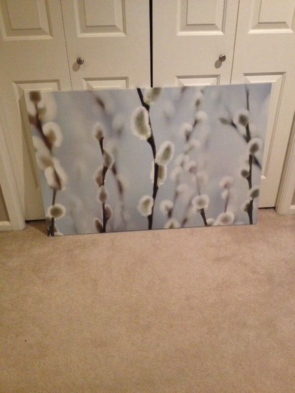 Large ikea pussy willow print