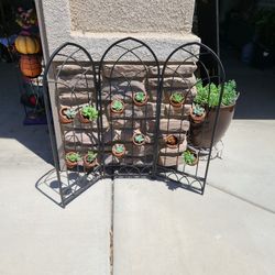 Succulent arrangement