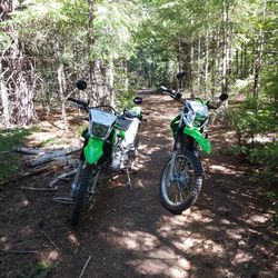 2020 Kawasaki Klx 230