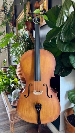 Glarry Cello 4/4 w/ Carbon Fiber Fiddlerman Bow