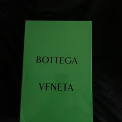 New Silver Bottega Orbit Exact Dupe