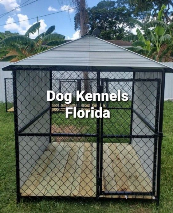 Dog Kennels Florida