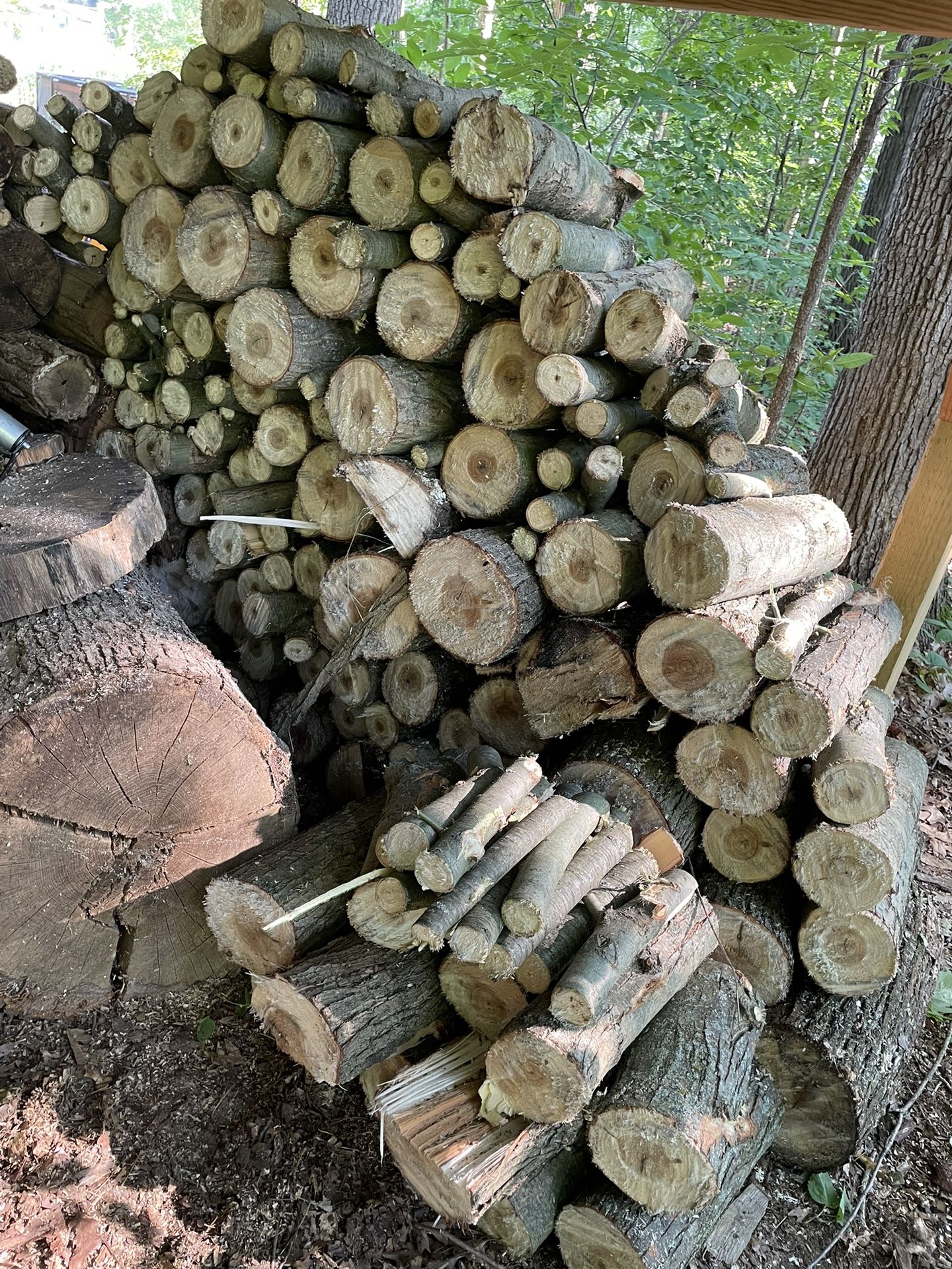 Firewood